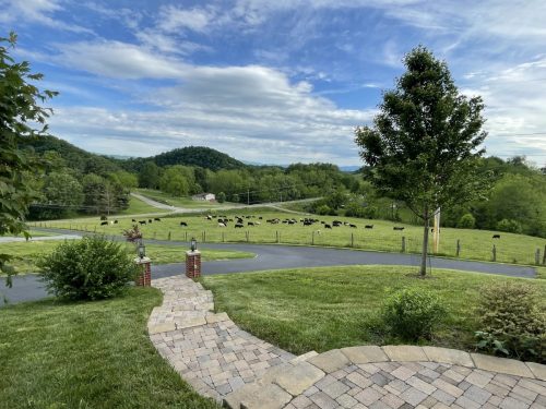 View from the front porch